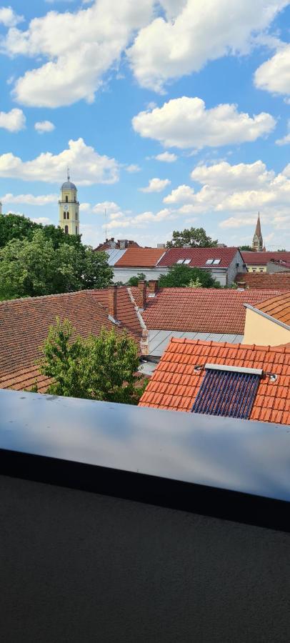 Charlotte Piata Unirii - Free Private Parking 2Bedrooms Apartment Oradea Eksteriør billede