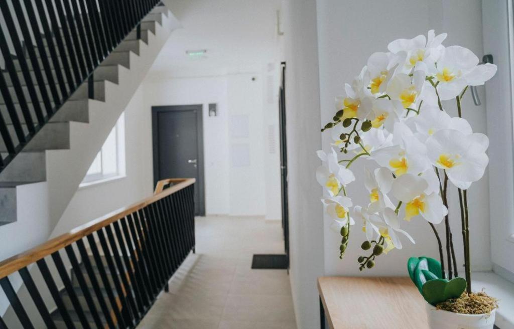 Charlotte Piata Unirii - Free Private Parking 2Bedrooms Apartment Oradea Eksteriør billede